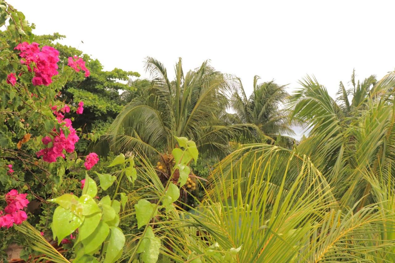 Hotel Posada Seremein ,West Bay ,Roatan Εξωτερικό φωτογραφία