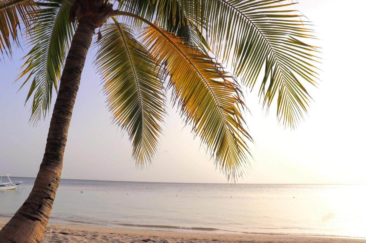 Hotel Posada Seremein ,West Bay ,Roatan Εξωτερικό φωτογραφία